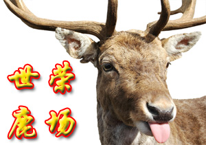 世榮鹿場(chǎng)