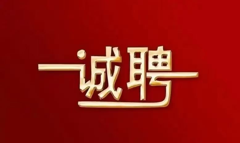 大世界家具招聘